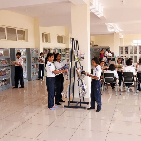 school-library school-library